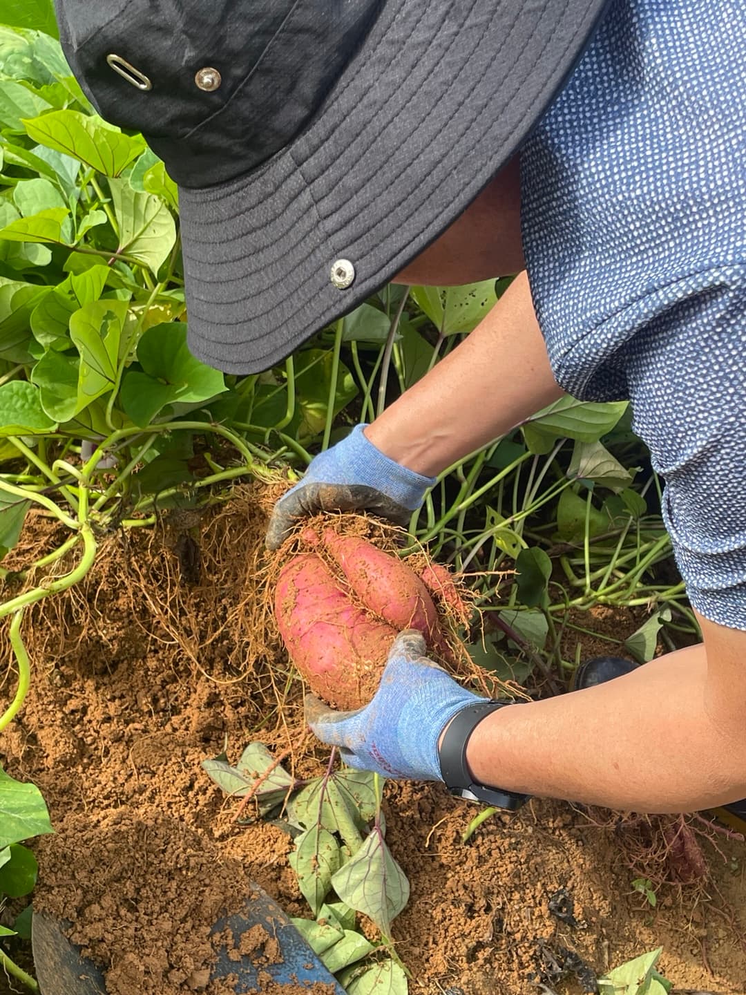 온설 브랜드 스토리